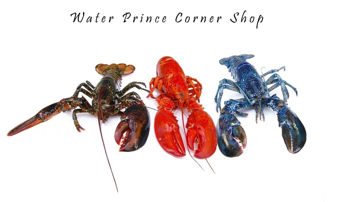 Three lobsters in different natural shell colours: greenish-brown, red and blue